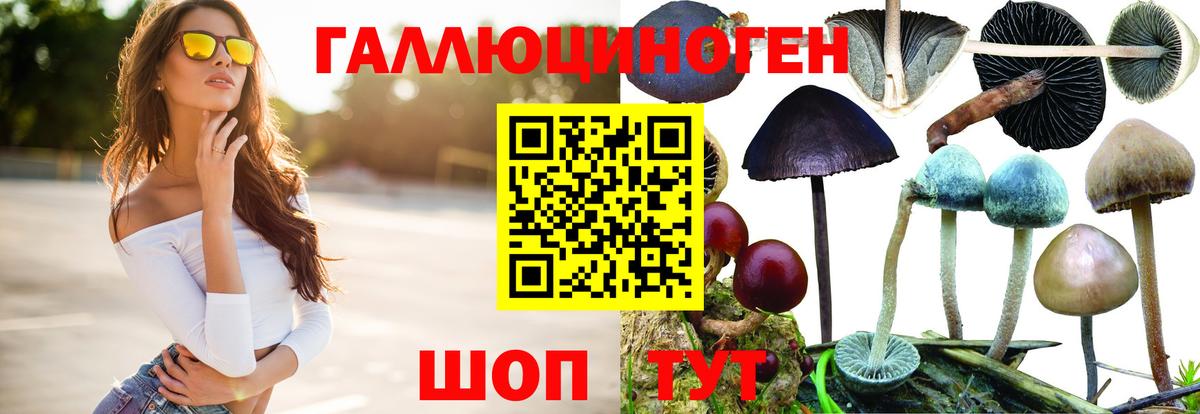 Галлюциногенные грибы мицелий Луга