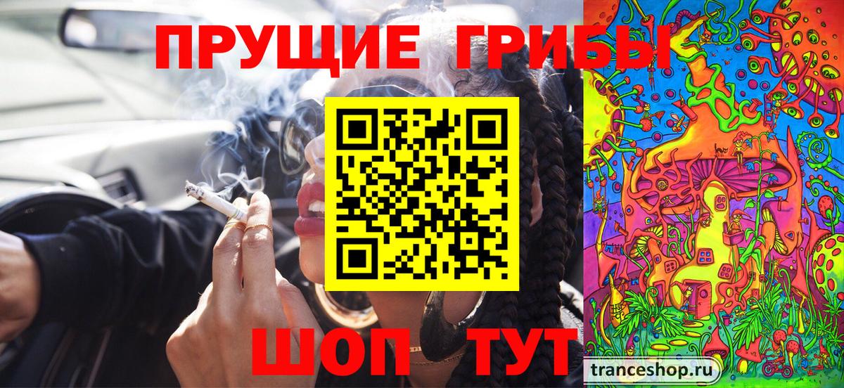 Луга  Псилоцибиновые грибы Cubensis  Вход с VPN  Псилоцибиновые грибы мицелий 